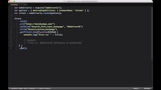 Lesson 1b - Trying out the WebdriverIO example
