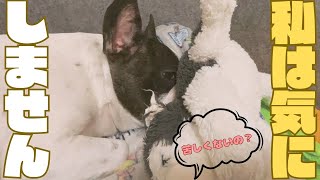 少しは気にしようよw