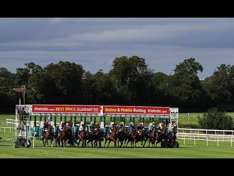300-1 shot He Knows No Fear makes horse racing history at Leopardstown | Daily Mail Online