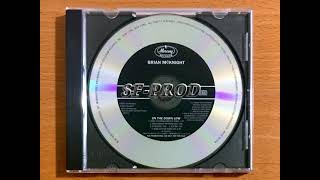 Brian McKnight 1995 On The Down Low (Remix) (Feat. Power of Three) (CD Single Promo)