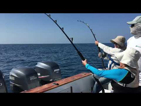 Tour 360 grados Galápagos