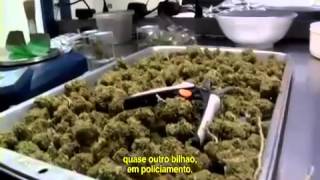 Cortina de Fumaça - Documentário na Integra