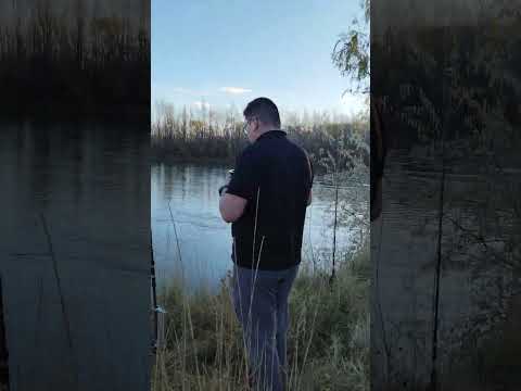 rio negro a la altura de coronel belisle