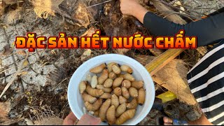 Bắt Đuông Dừa | Đặc Sản Của Miền Tây #duongdua