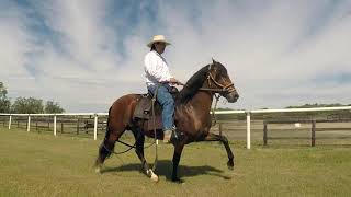 WF PERUANO, Westview Farms