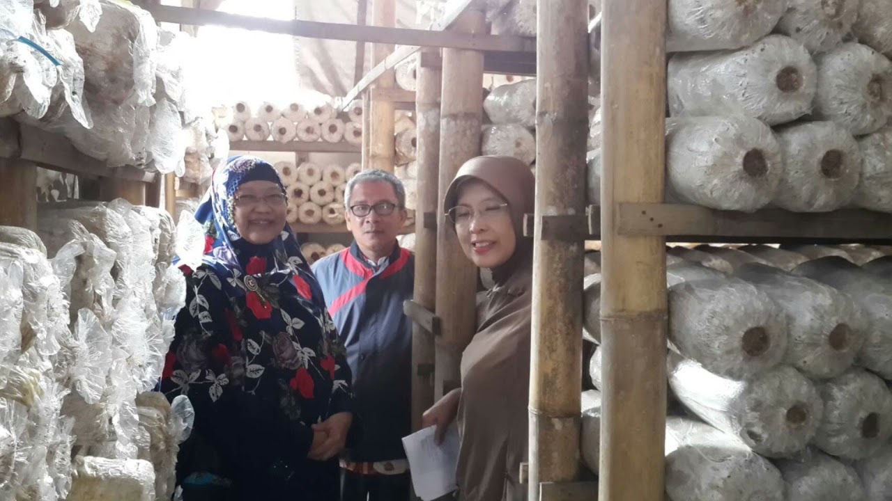 PRISMA - Video Resume - Mulyaningrum