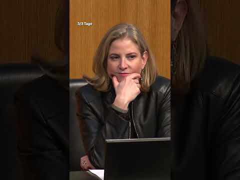 F in FPÖ steht für Fake News.