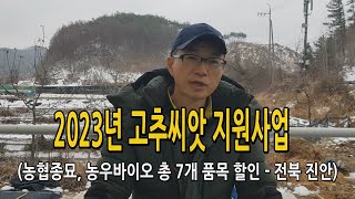 2023년 고추종자 씨앗 농협 보조사업 지원사업 / 전북 진안