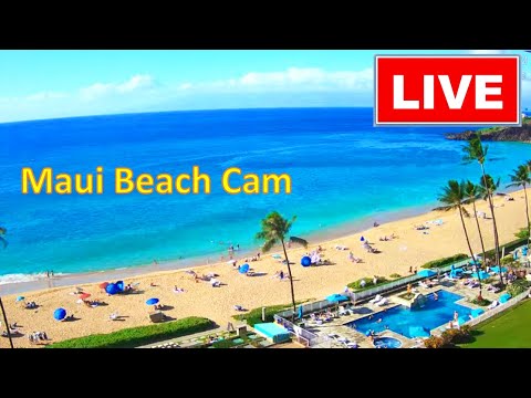 🐳  LIVE 24/7  🌴  4K MAUI BEACH CAM!  Kaanapali Beach, Maui | www.WhalerCondo.net