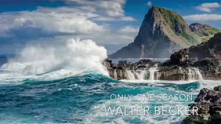 Walter Becker - Only One Season