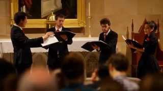 Prima Luce - Ding Dong Merrily on High