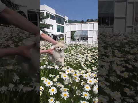 New Yarns Launching Soon! | Premier Yarns #shorts