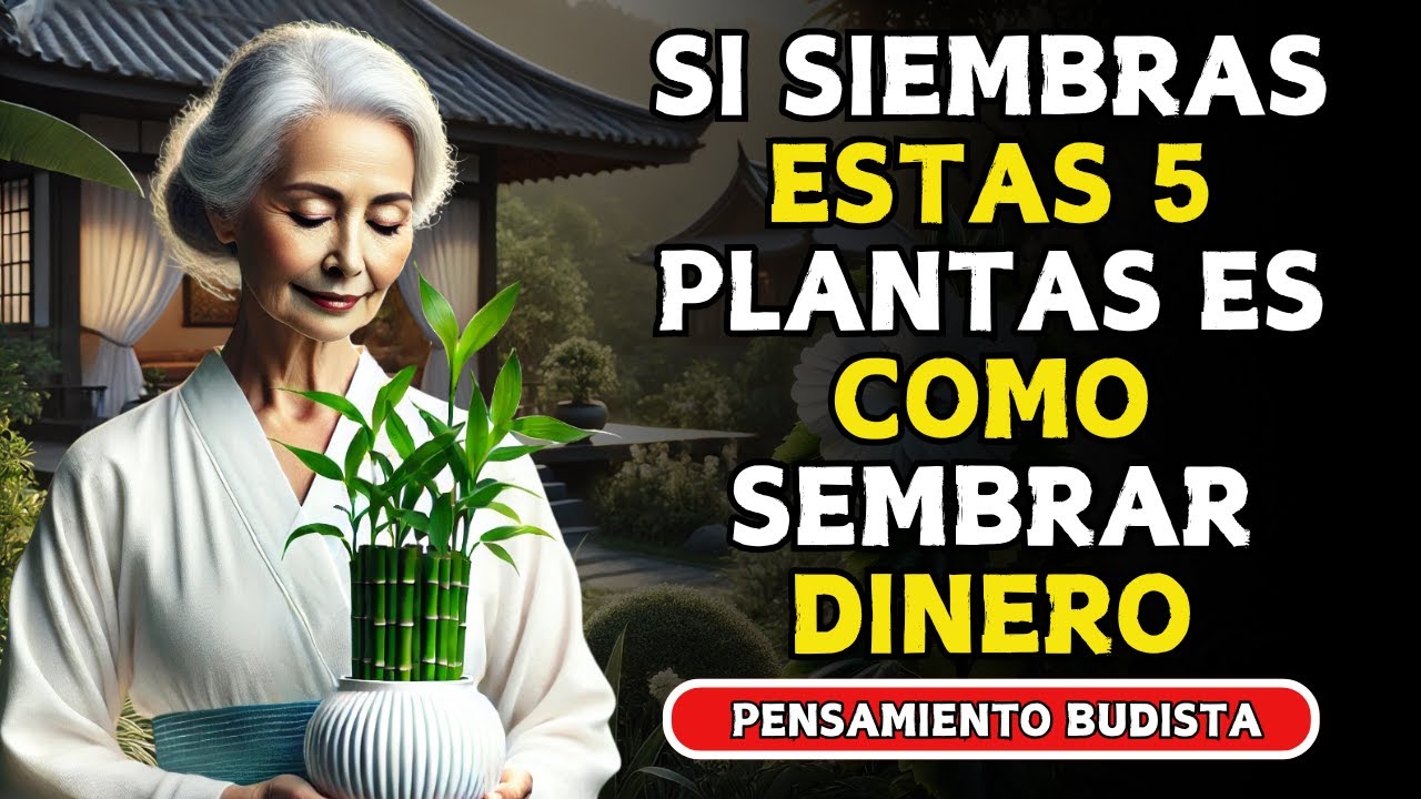 ¡Quieres DINERO! SIEMBRA estas 5 PLANTAS en tu CASA | Enseñanzas Budistas