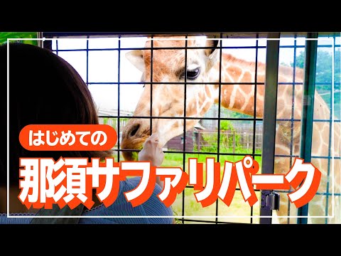 【那須Vlog】栃木県民だから、サファリパーク行かなきゃ！！