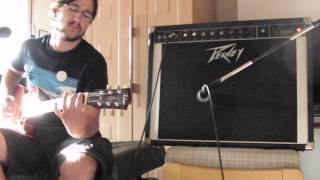 Video thumbnail for Trashy Amp Reviews - 1979 Peavey Classic VT Series 212 by Trashy Amp Reviews