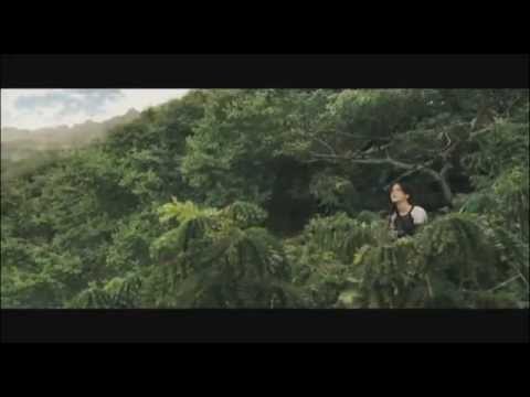 The Hanging Tree - Mockingjay (Lyrics in Desc.) (The Hanging Tree - Mockingjay (Lyrics in Desc.))