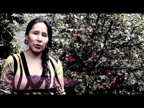 Erika Andia - Actriz