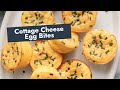 Cottage Cheese Egg Bites Only 4 Ingredients