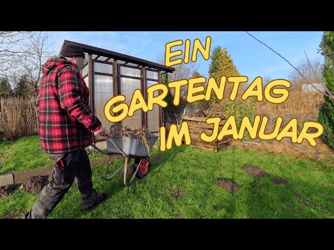 Gewächshaus bricht zusammen / Erdbeeren pflegen / was hat die Gewächshausheizung gebracht?