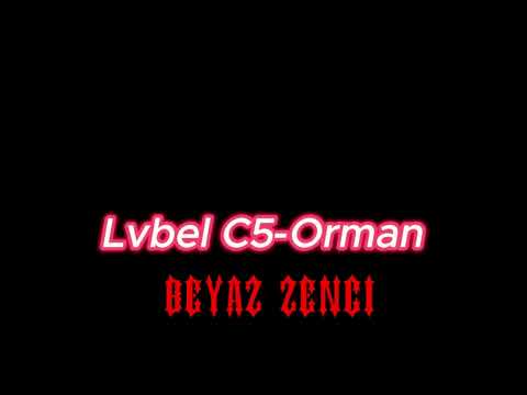 Lvbel C5-orman