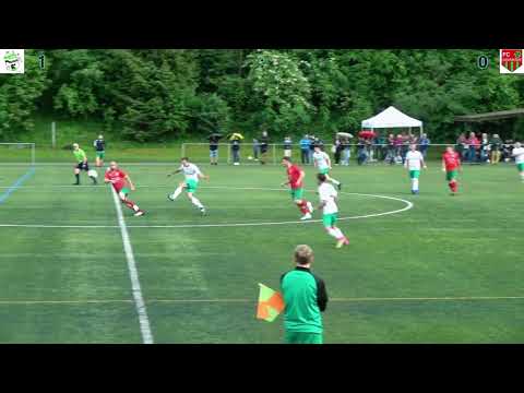 Meisterschaftsspiel 4. Liga FC Reichenbach - FC Lerchenfeld ganzes Spiel 25.05.2024