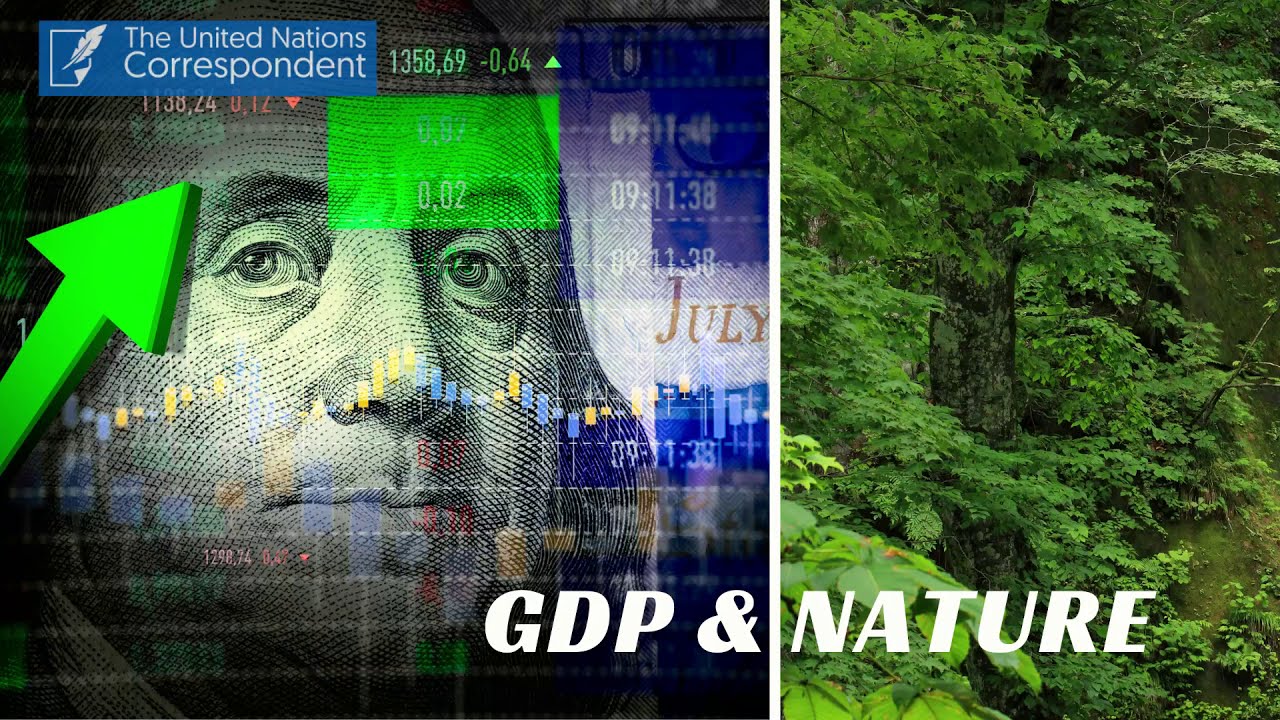 The United Nations calls for a new economic accounting system that includes nature