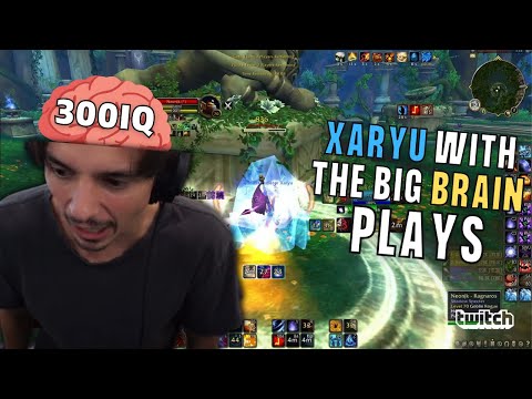 Xaryu with the BIG BRAIN plays in Dragonflights Arena Season 1 Officially Open