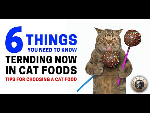 The Future of Feline Nutrition: Innovative Cat Food Products and Trends. #cat #cats #food #animals