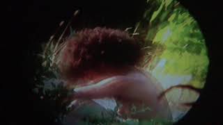 Nothing New Music Video