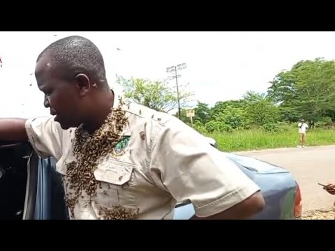 Mbavha YepaVID Bindura Orumwa NeNyuchi Atsotsa Vanhu #VIDZimbabwe