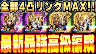 【力こそパワー!!】新キャラ全部使った最新の超最強編成でクソみたいなドッカン大乱戦を楽勝でクリアしてやる！｜ドッカンバトル【ソニオTV】