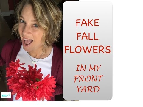 download lagu mp3 mp4 Autumn Faux Flowers, download lagu Autumn Faux Flowers gratis, unduh video klip Autumn Faux Flowers