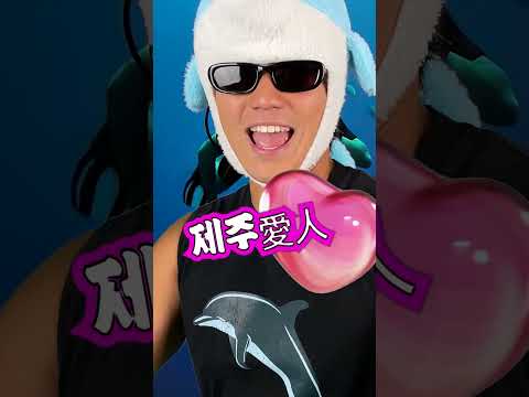 🐬무한성 콘서트, 귀멸의 제주🐬 #제주애주소인 #돌핀맨