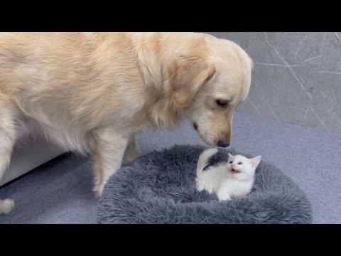 YouTube 썸네일