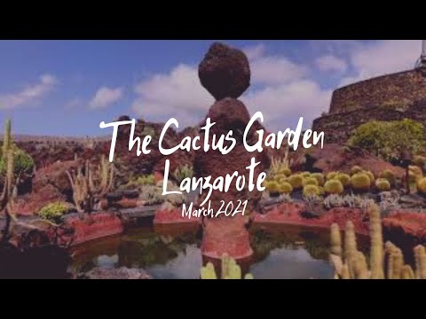 The Jardin de Cactus (The Cactus Garden)| Lanzarote | March 2021