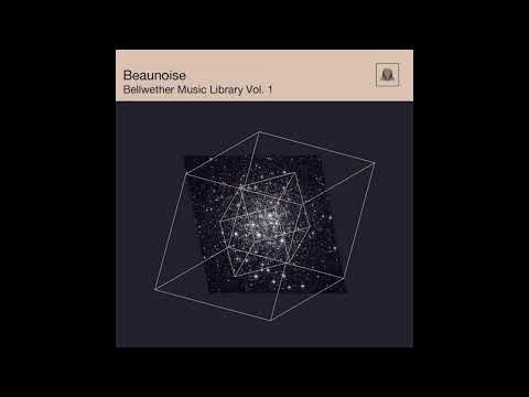 beaunoise video