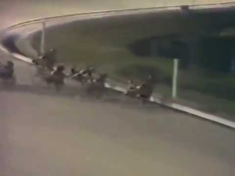 1979 - Niatross - Kentucky Pacing Derby