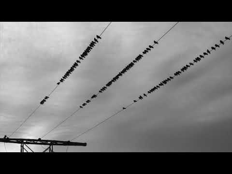 Puxumos - Octoberesc (Original Mix)