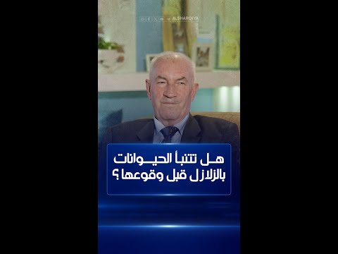 شاهد بالفيديو.. هــل تتنبـأ الحيوانات بالزلازل قبل وقوعها ؟  | أطراف الحديث