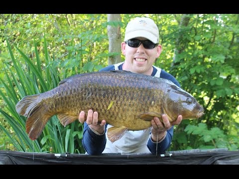 How to catch carp that won't bite - how to fish a zig rig.