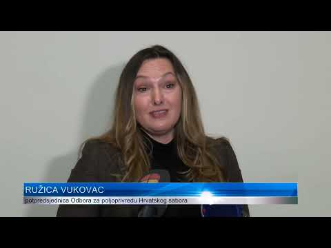 DNEVNIK 01.02.2022. Osječka televizija