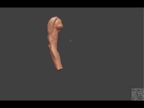Zbrush 4r2 Arm Sculpt