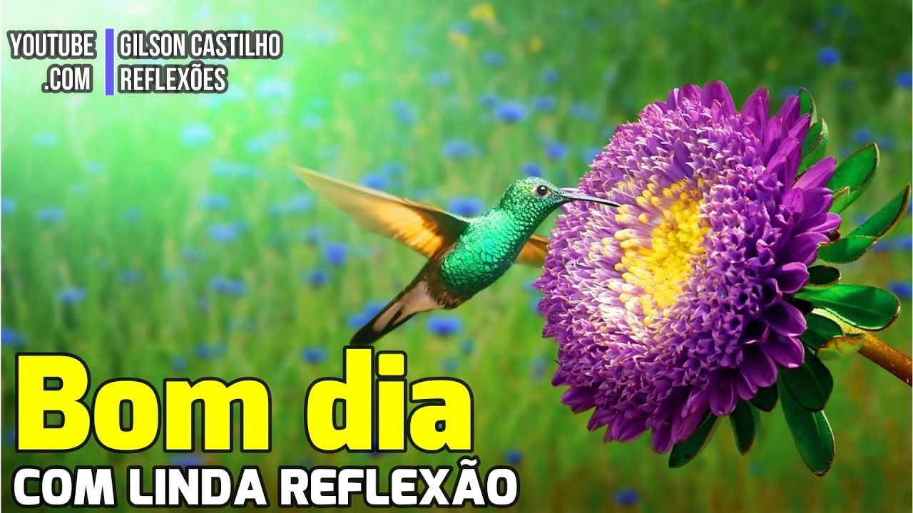 Mensagem de Bom Dia  / Você Pode, Você Vai Vencer !