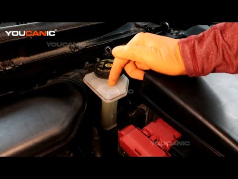 2017+ Nissan Rogue Sport Check / Add Brake Fluid