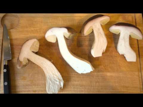 Cooking cèpes in 90 seconds