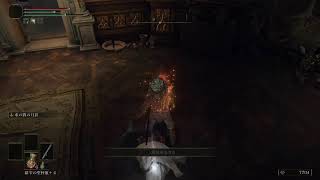 ELDEN RING 21  1ヶ月ぶり