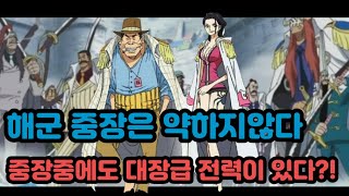 [원피스정보]해군중장은 약하지않다 중장 중에도 대장급 전력이있다?!