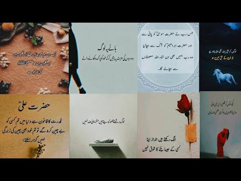 Mateen Islamic quotes| best aqwal E Zareen in Urdu| aqwal E Zareen in Urdu collection|