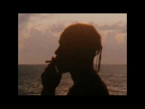 "WINGS" - CHILL TRAVIS SCOTT TYPE BEAT | leok