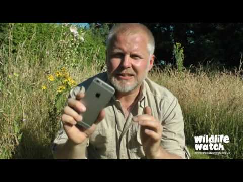 Wildlife Gadgetman's Quick Guide to Macro Photography